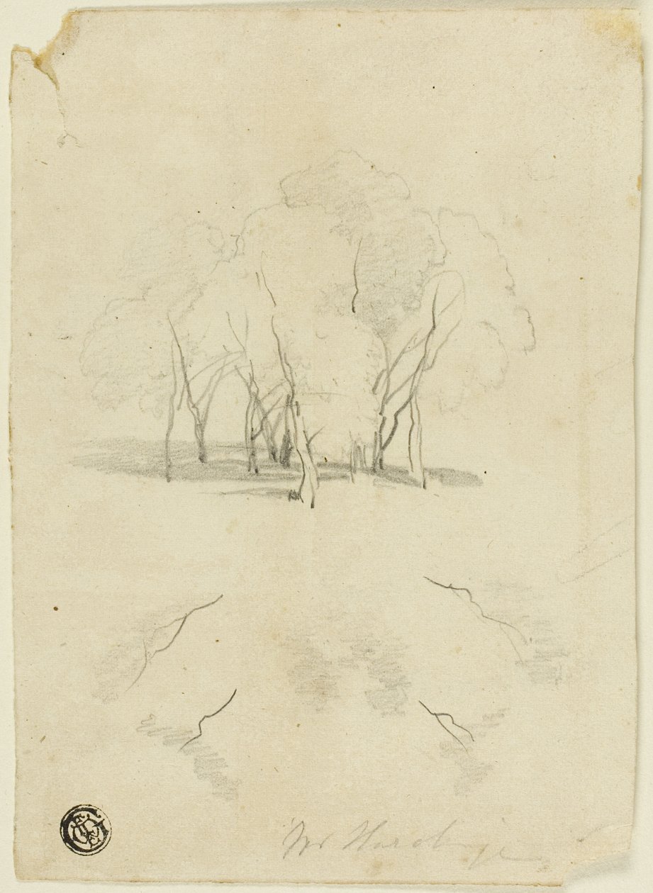 Trs stromů od James Duffield Harding