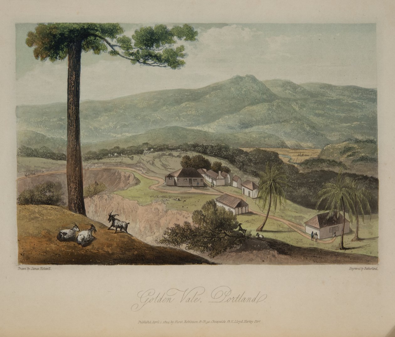 Golden Vale, Portland od James Hakewill