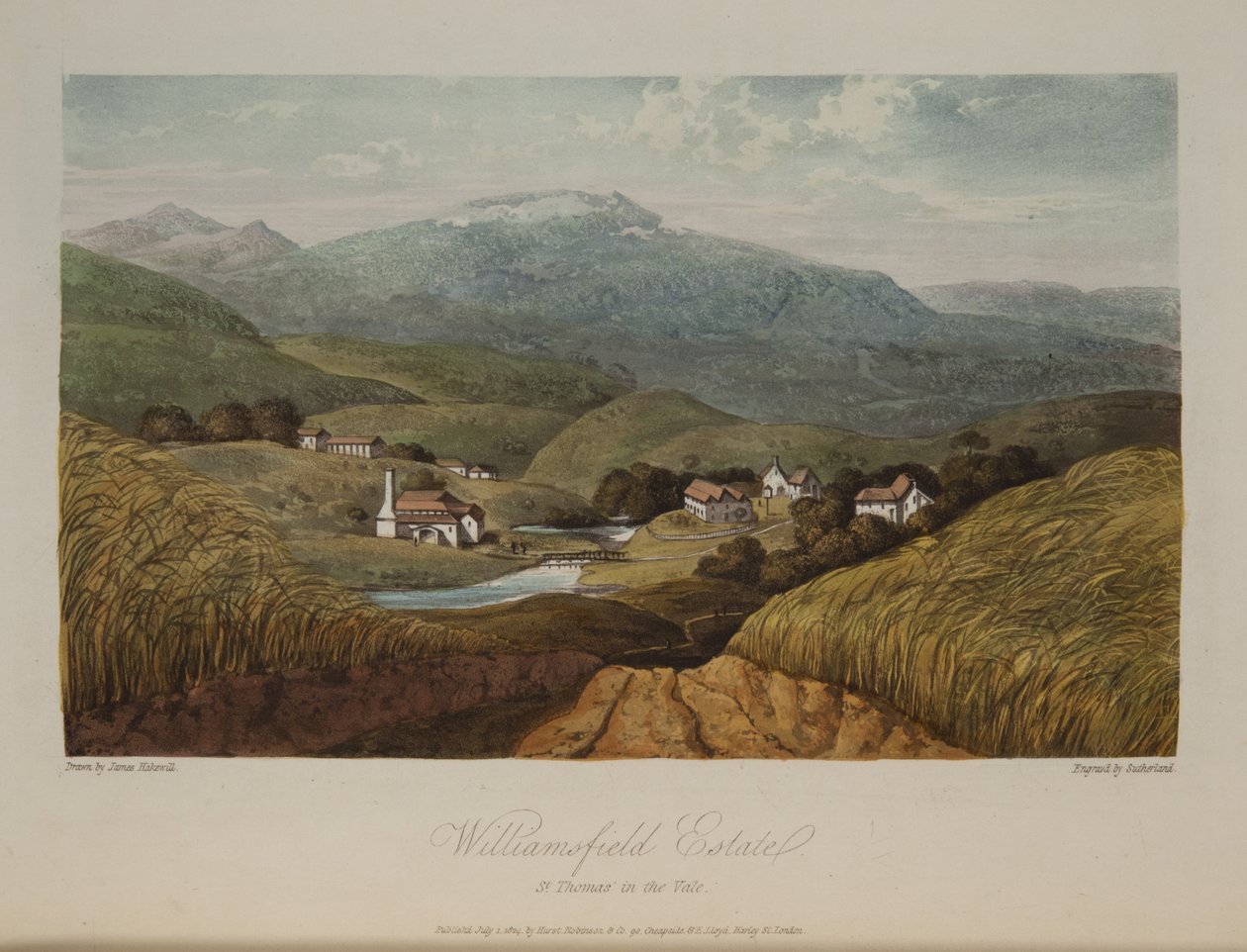 Williamsfield Estate, St. Thomas in the Vale od James Hakewill