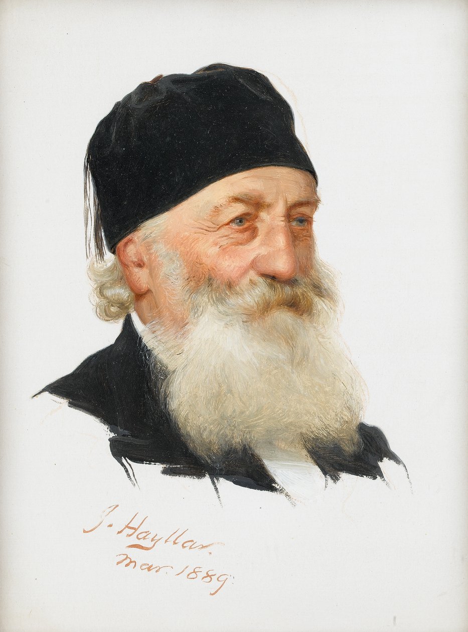 Studie vousatého gentlemana, 1889 od James Hayllar