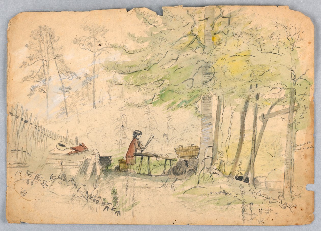 Woodland Camp od James Henry Moser
