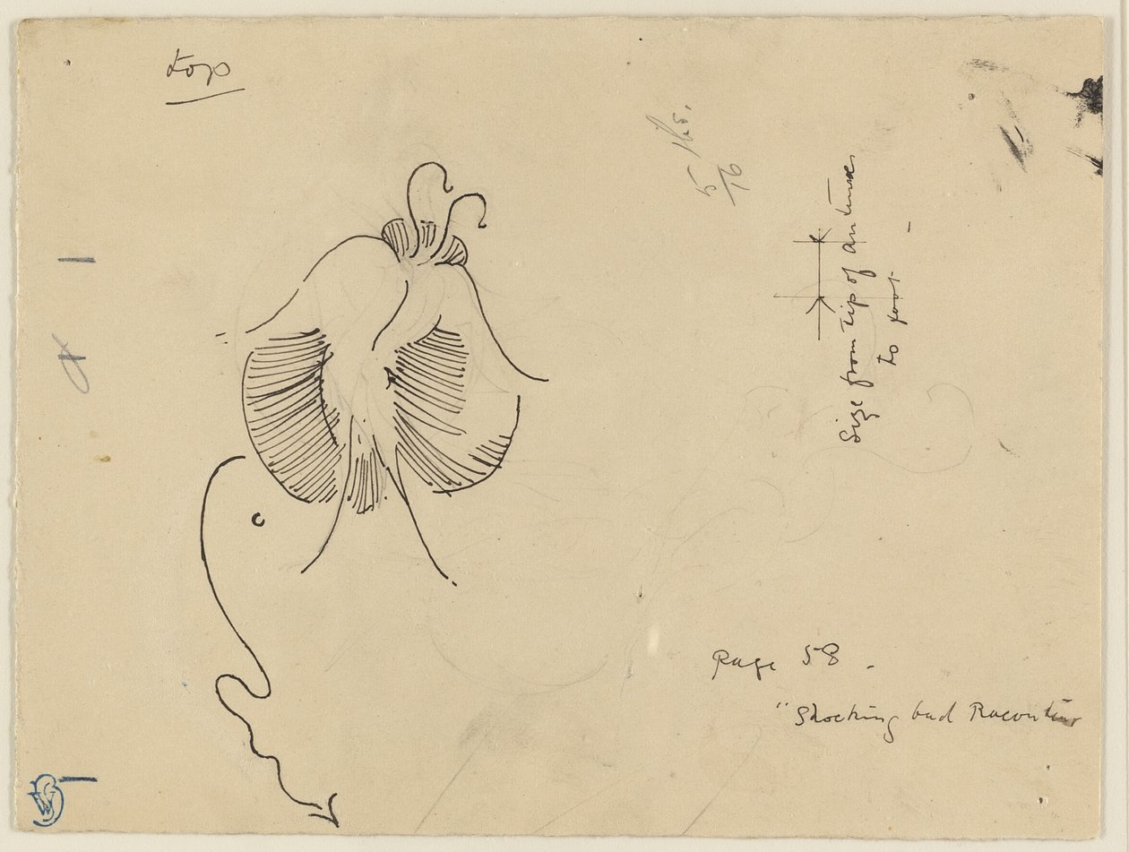 Motýl (recto); fragment motýla (verso) od James McNeill Whistler