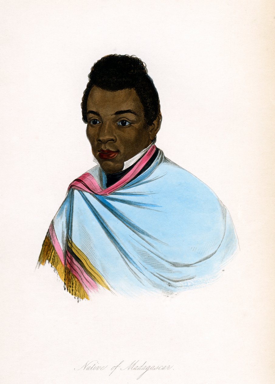Rodák z Madagaskaru, c1850. od James Prichard