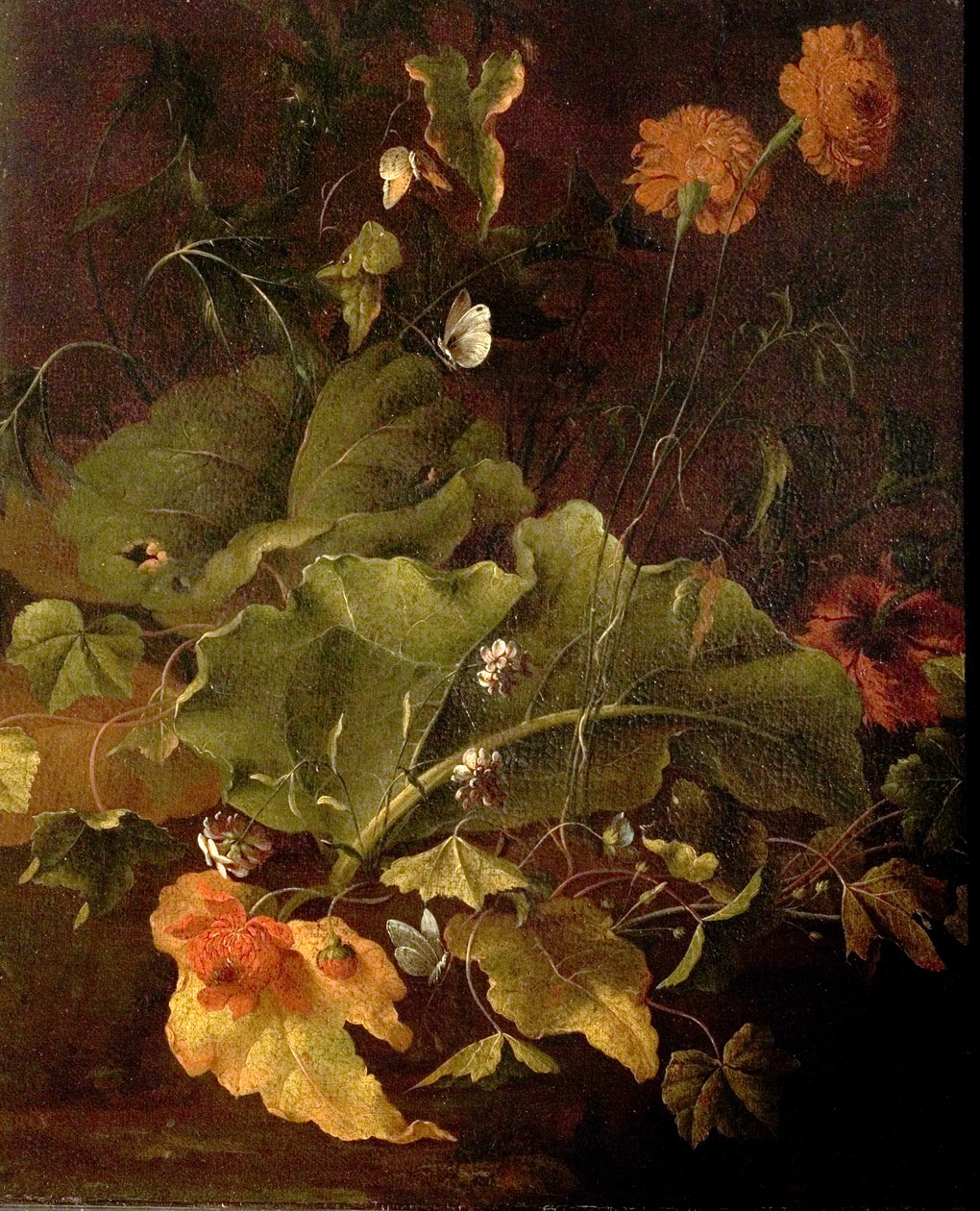 Dock Leaves and Other Flowers, c.1820 od James Sillett
