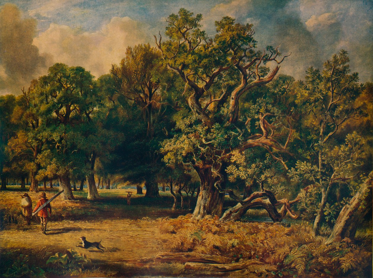 Windsorský les, c1835 od James Stark