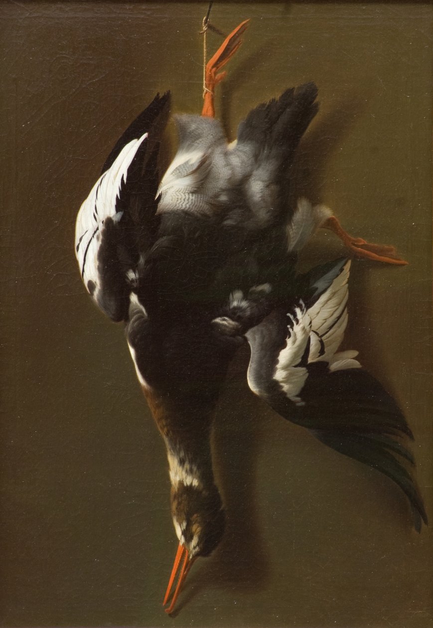 Dead Fowl, kolem roku 1815 (olej na plátně) od James Thom
