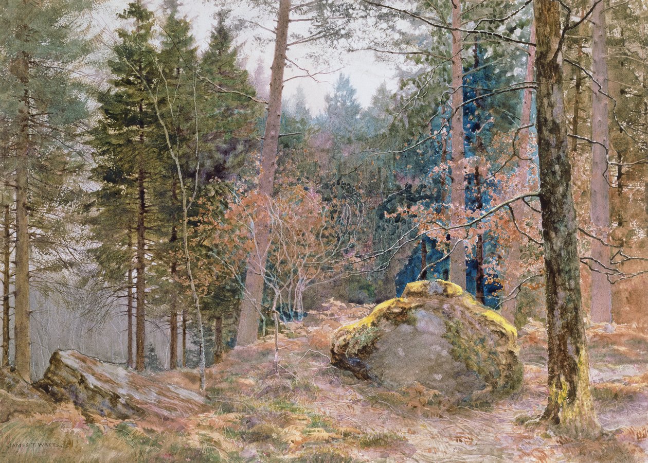 Ve velšském lese, zima od James Thomas Watts