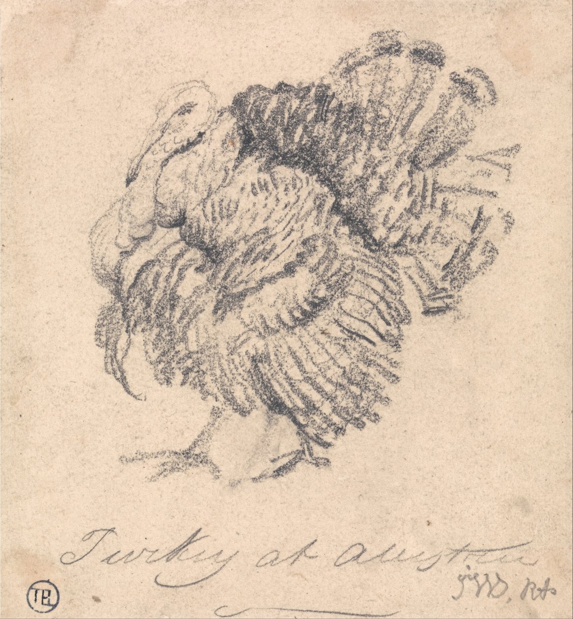 Studie krocana od James Ward