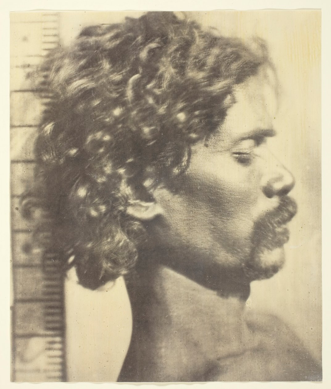 Kuruba Man, 1873. od James Wilkinson Breeks