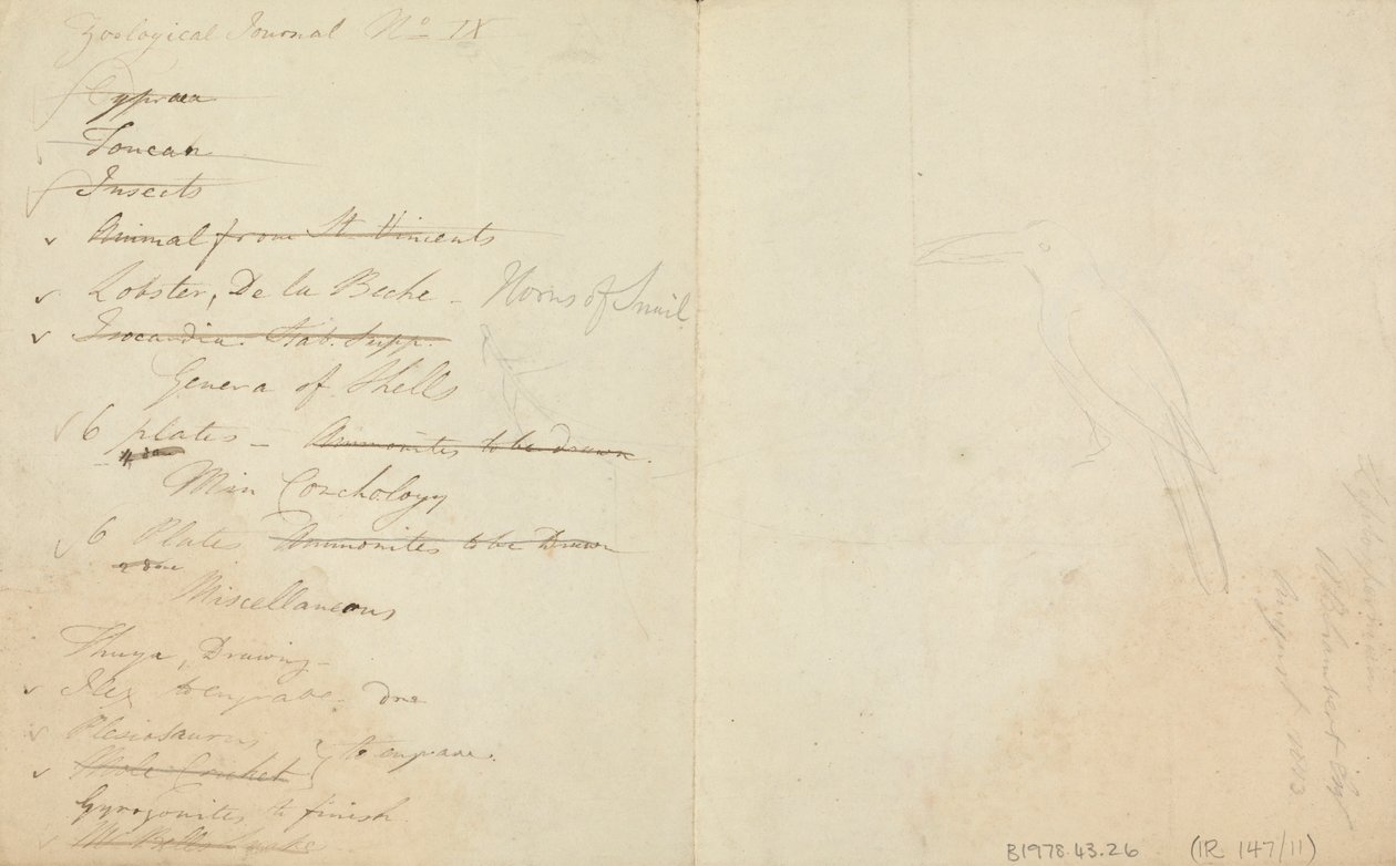 Tři tukani od James de Carle Sowerby