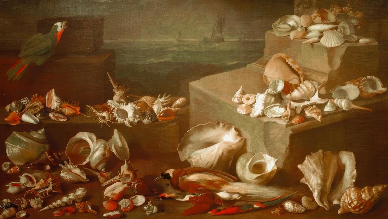 Zátiší s šneky a mušlemi od Jan Davidsz de Heem