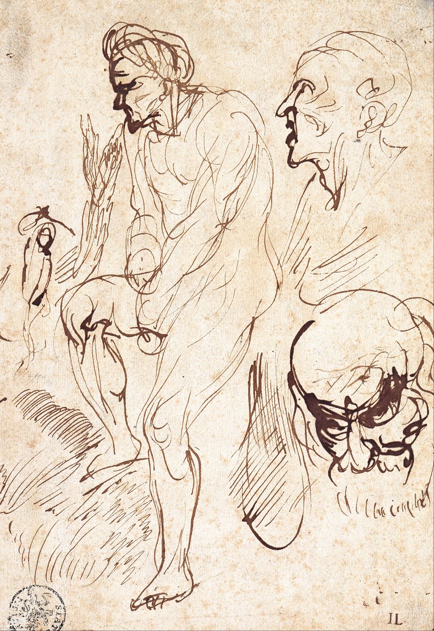 Studie po vzoru od Jan the Elder Lievens