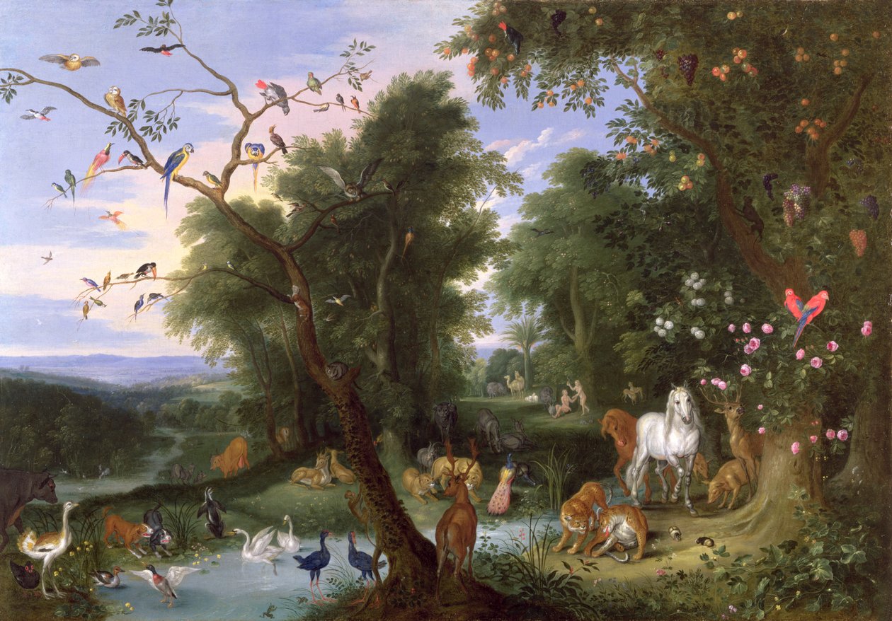 Rajská zahrada, 1659 od Jan van Kessel the Elder