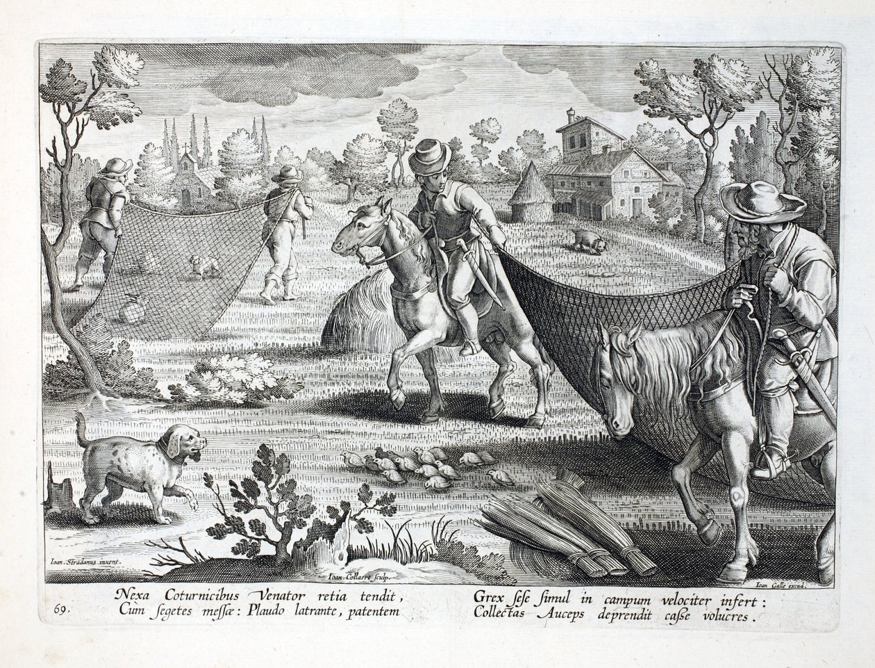 Chytání křepelky, ilustrace z knihy "Venationes, Ferarum, Avium, Piscium" (O lovu: divoká zvěř, ptáci, ryby), vyryl Jan Collaert (1566-1628), vydal Phillipus Gallaeus, Amsterdam. od Jan van der Straet