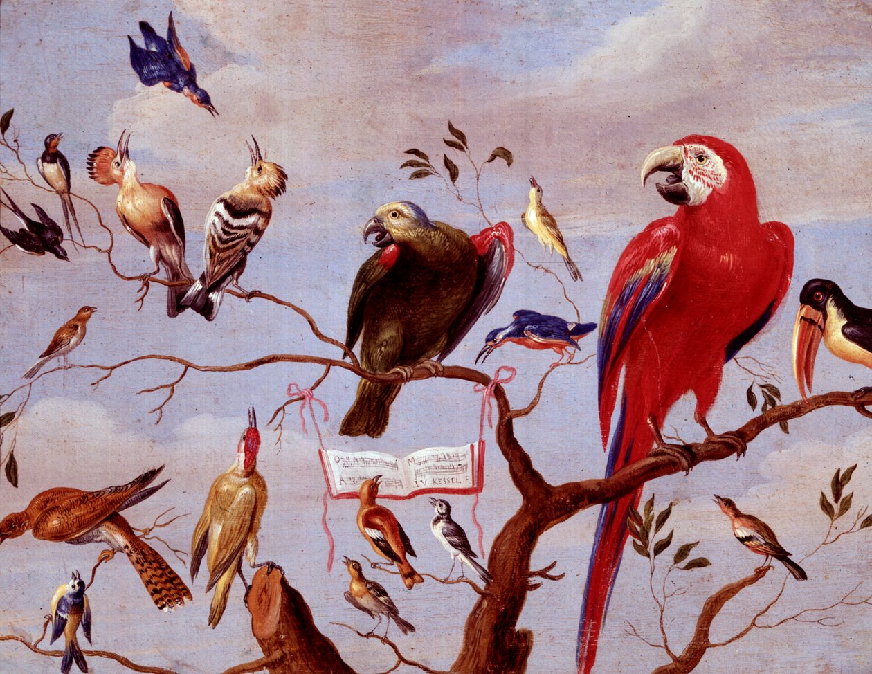A Chorus of Birds, cca 1650-1675 (olej na kovu) od Jan van Kessel the Elder