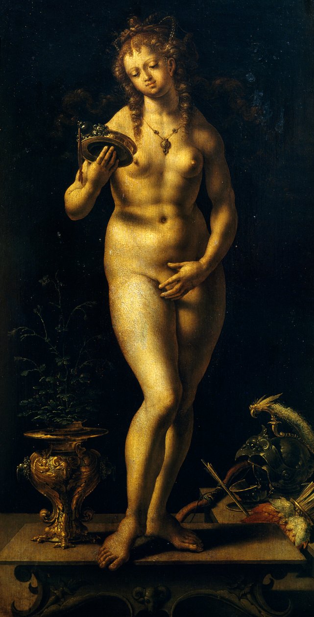 Venuše (olej na panelu) od Jan (c.1472 c.1533) Gossaert