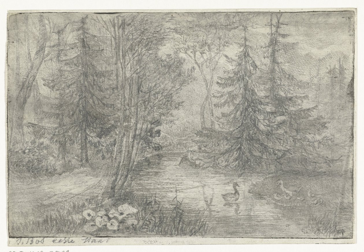 Lesní rybník s kachnami od Jan Bos Wz. (signed by artist)