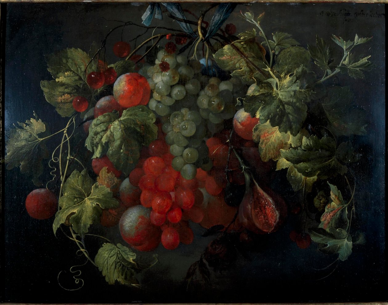 Holandsky: Festoon of Fruit od Jan Davidsz. de Heem