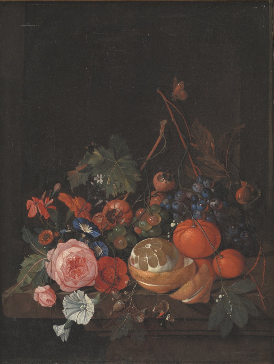 Květiny a ovoce od Jan Davidsz de Heem