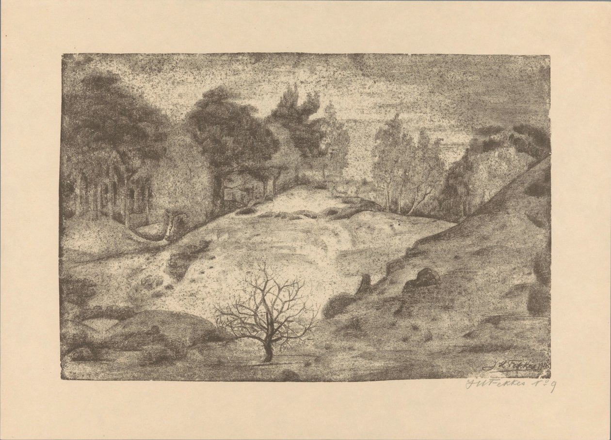 Heath poblíž Laren od Jan Fekkes (signed by artist)