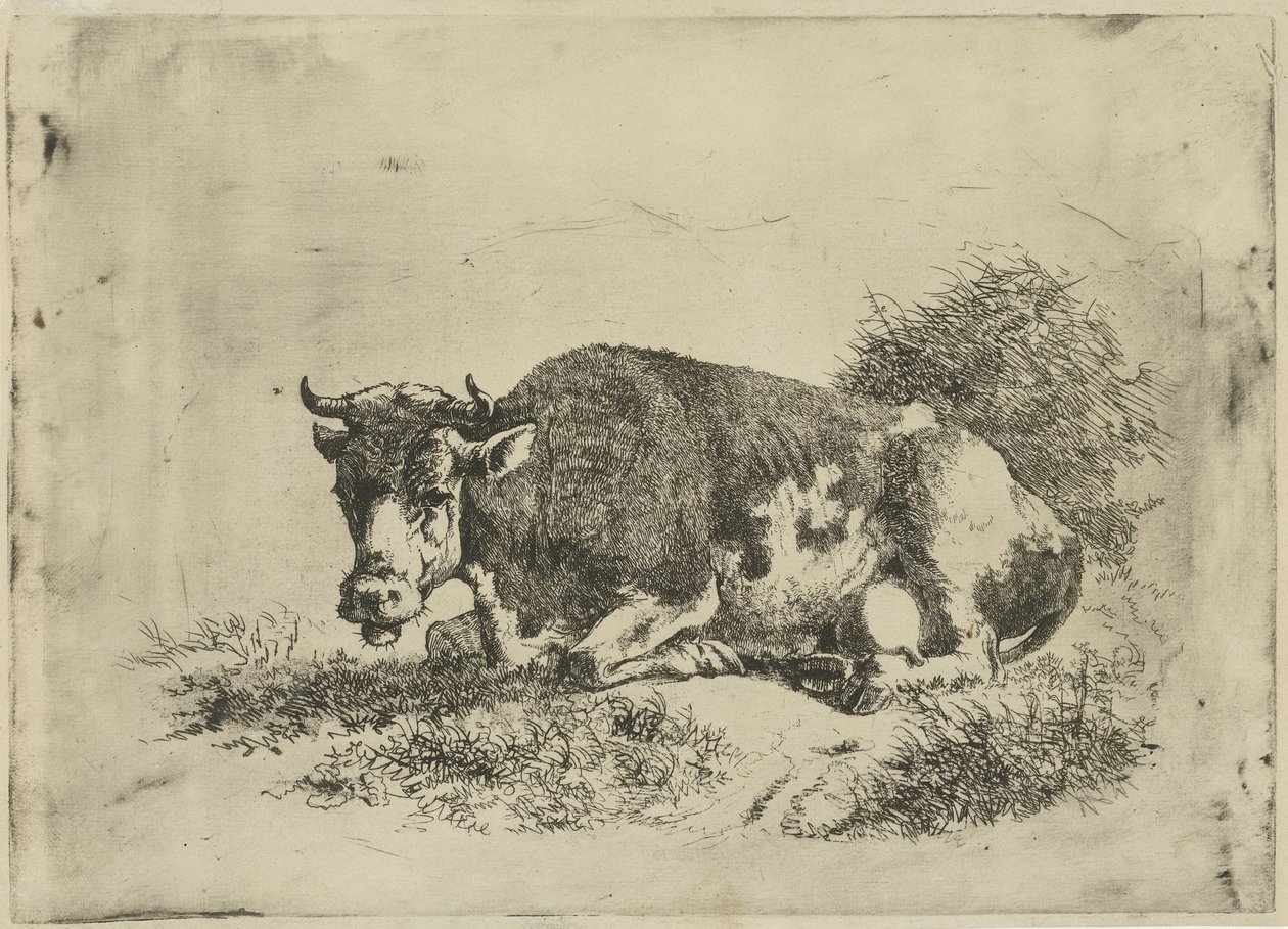 Ležící kráva od Jan Kobell (III)