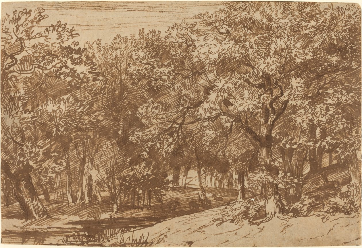 Jelení obora od Jan Lievens