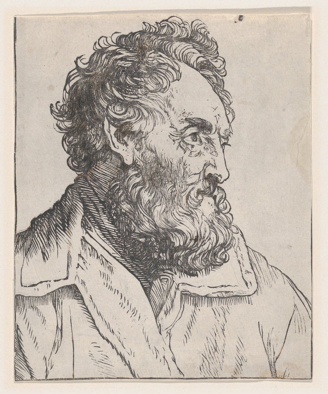 Hlava muže, 17. století. od Jan Lievens