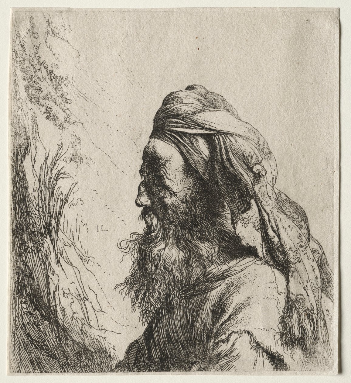 Hlava orientálního, 16. století. od Jan Lievens