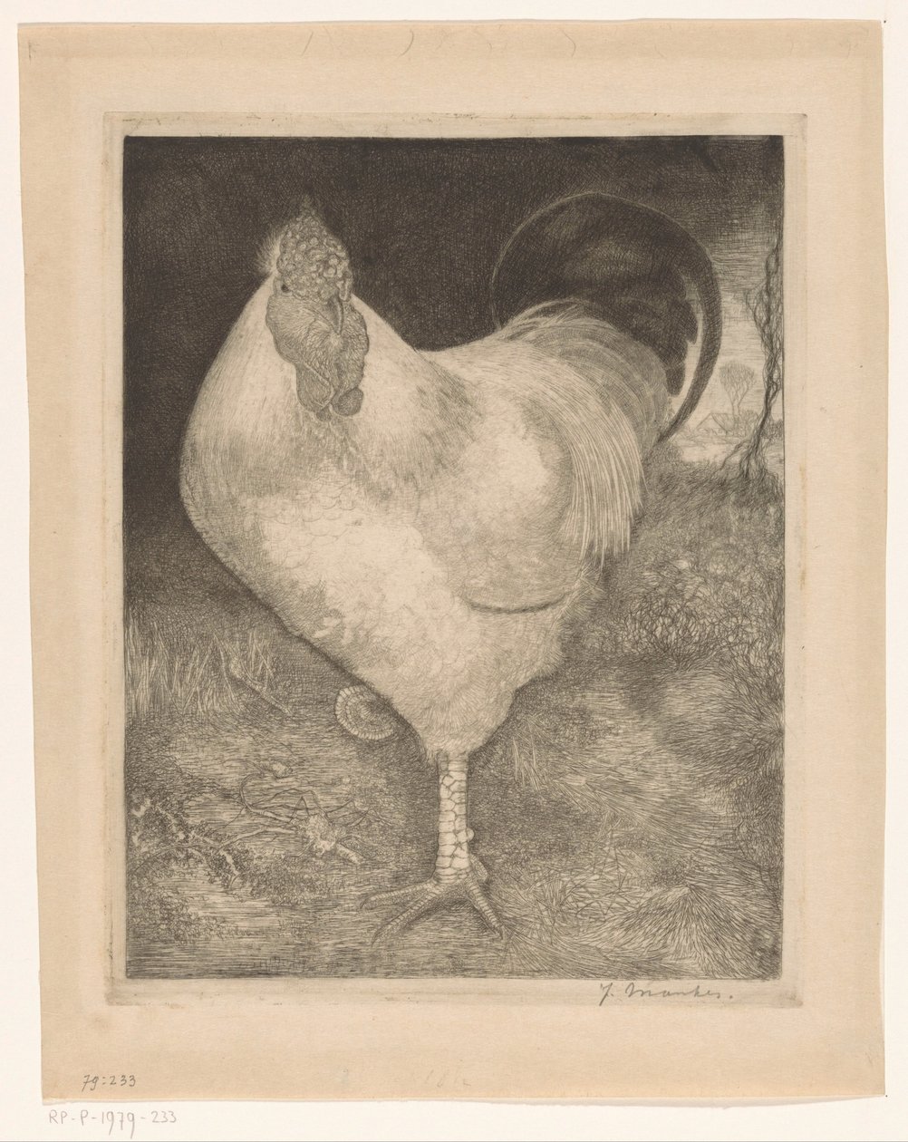 Kohout na jedné noze od Jan Mankes (signed by artist)