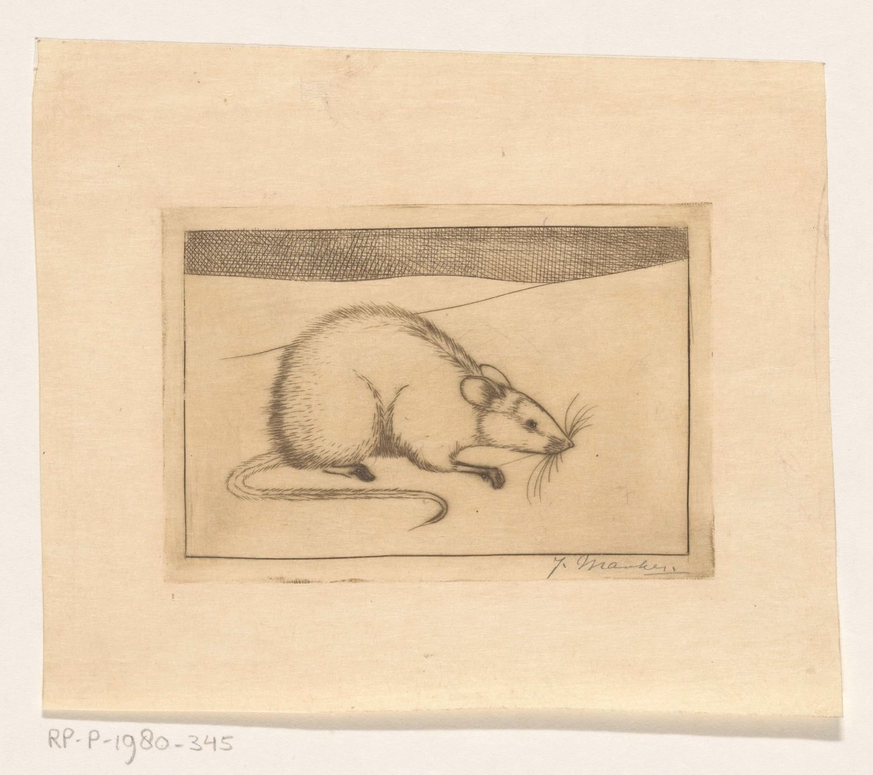Myš od Jan Mankes (signed by artist)