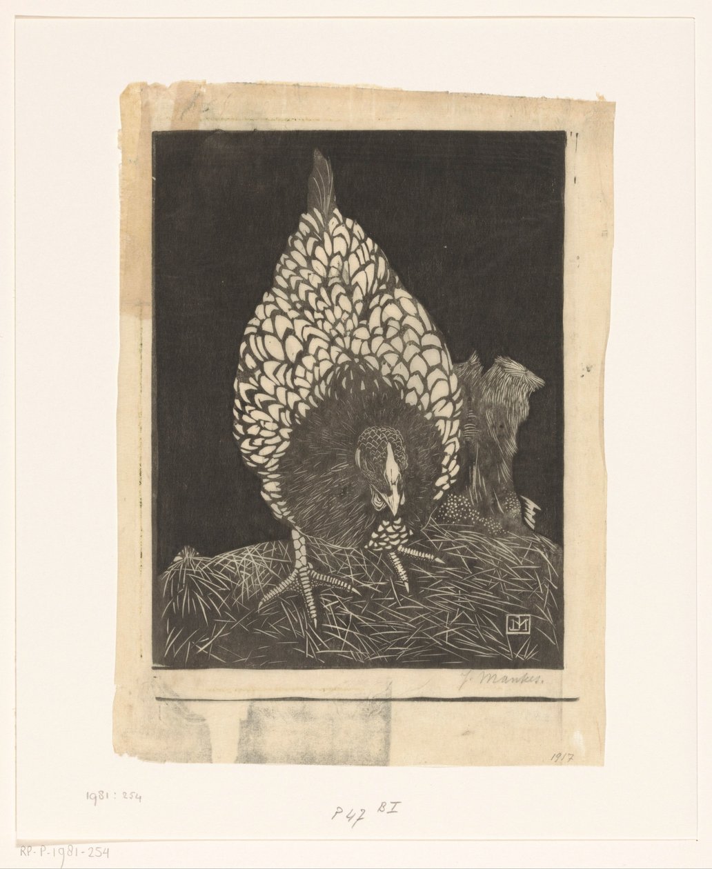 stříbrná wyandotte od Jan Mankes (signed by artist)
