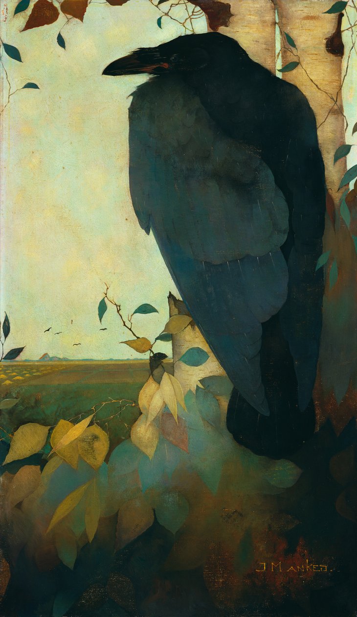 Havran na bříze od Jan Mankes