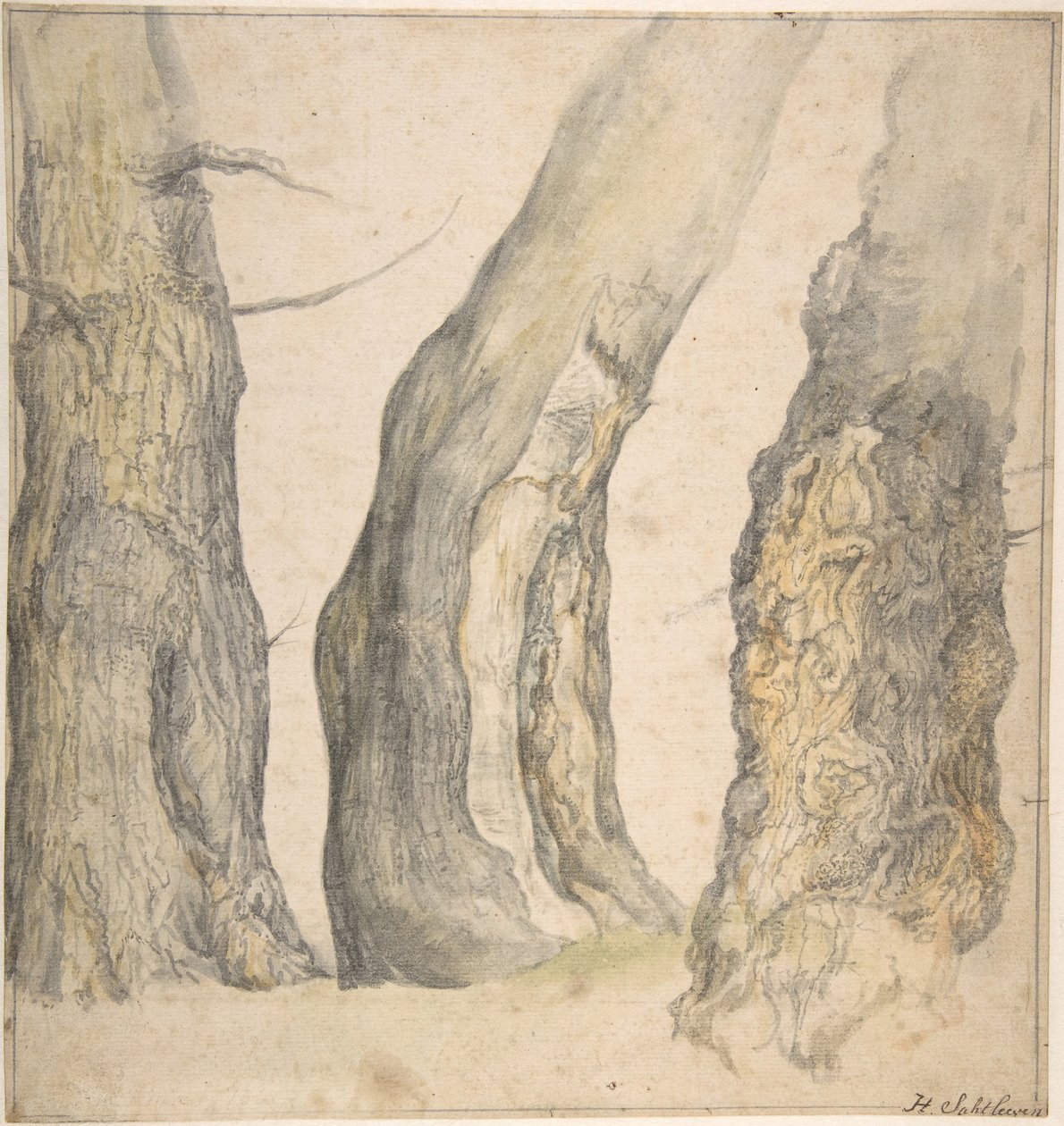 Studie tří starých sukovitých stromů, 1660. od Jan Siberechts