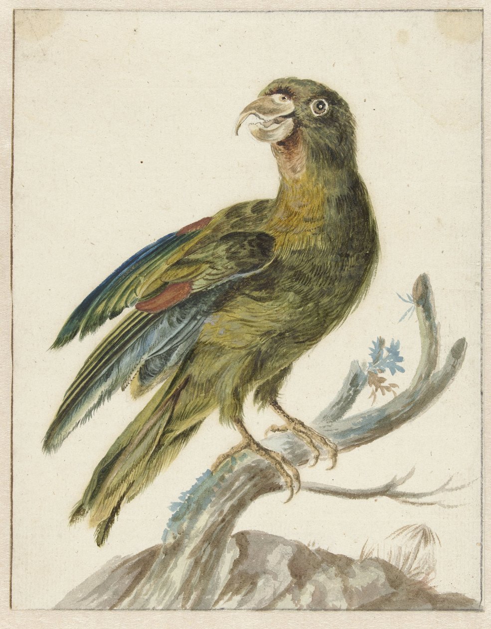 Andulka od Jan Baptist Weenix