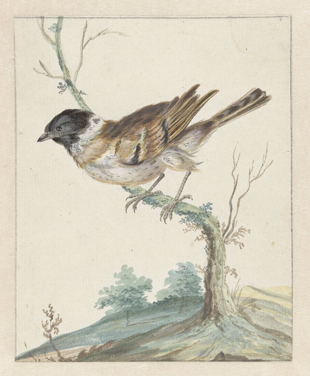 Rietgors (?) od Jan Baptist Weenix