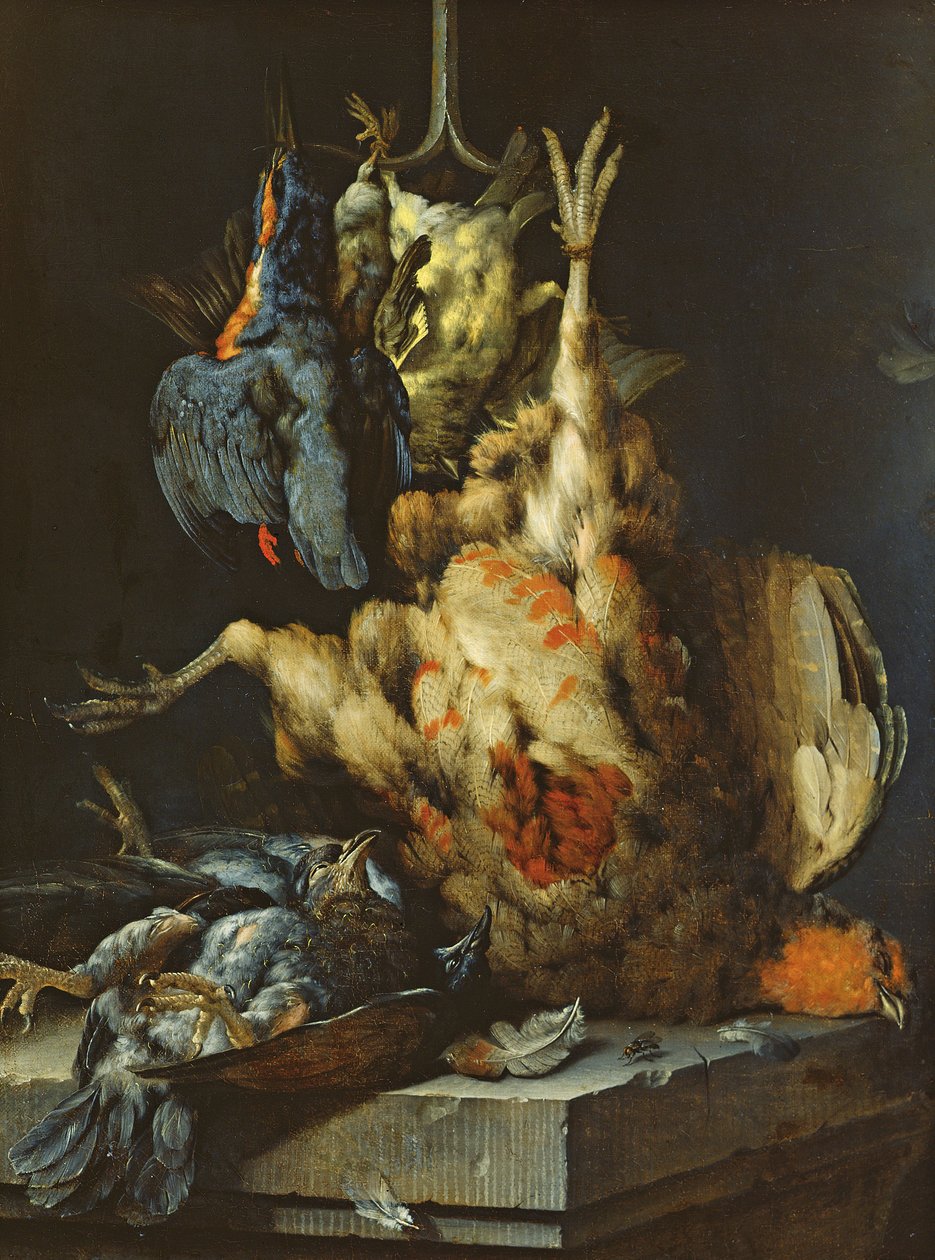Zátiší (olej na plátně) od Jan Baptist Weenix