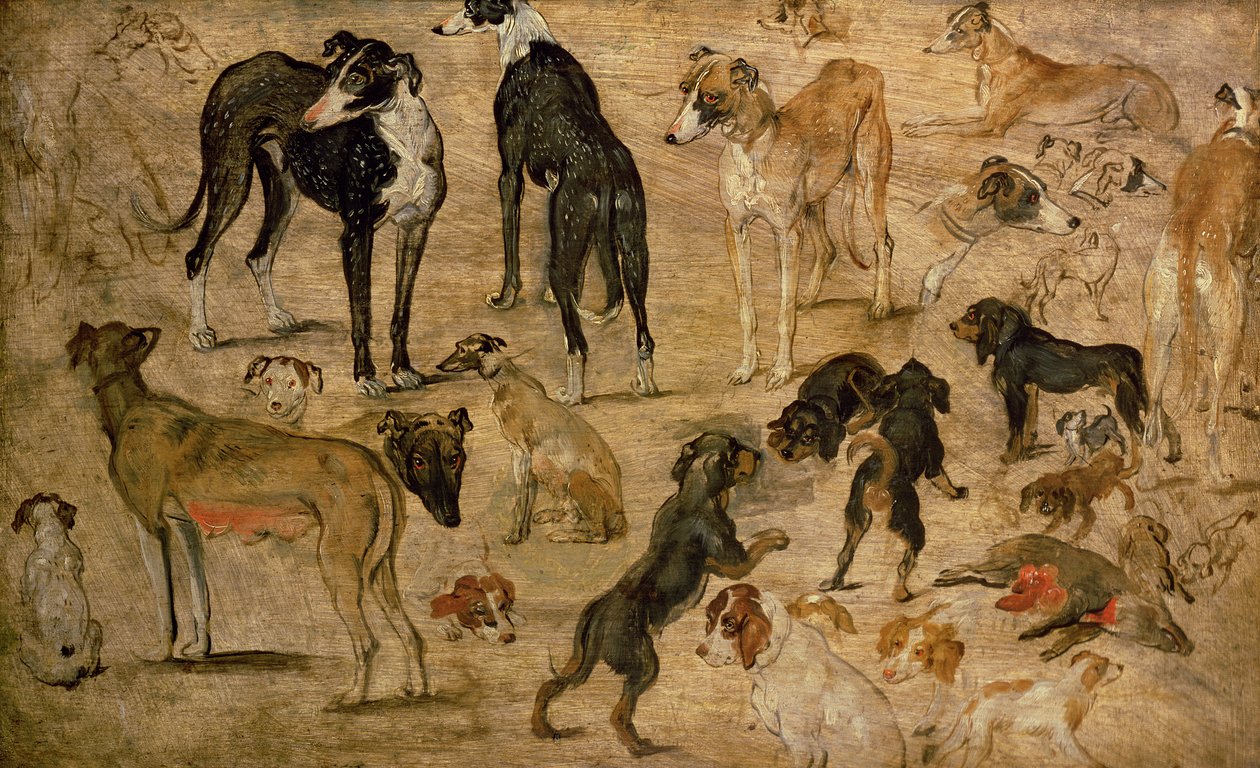 Studie o honech, 1616 od Jan the Elder Brueghel