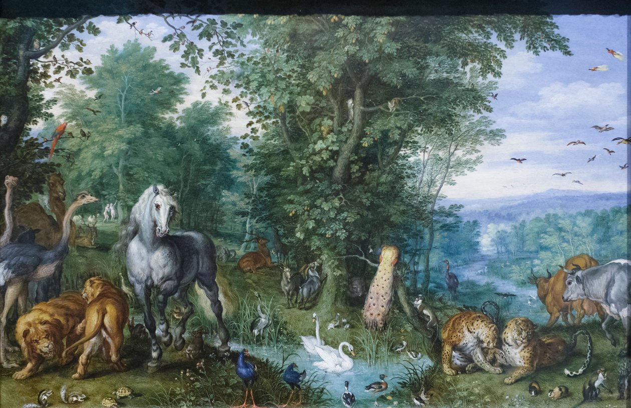 Rajská zahrada od Jan the Elder Brueghel
