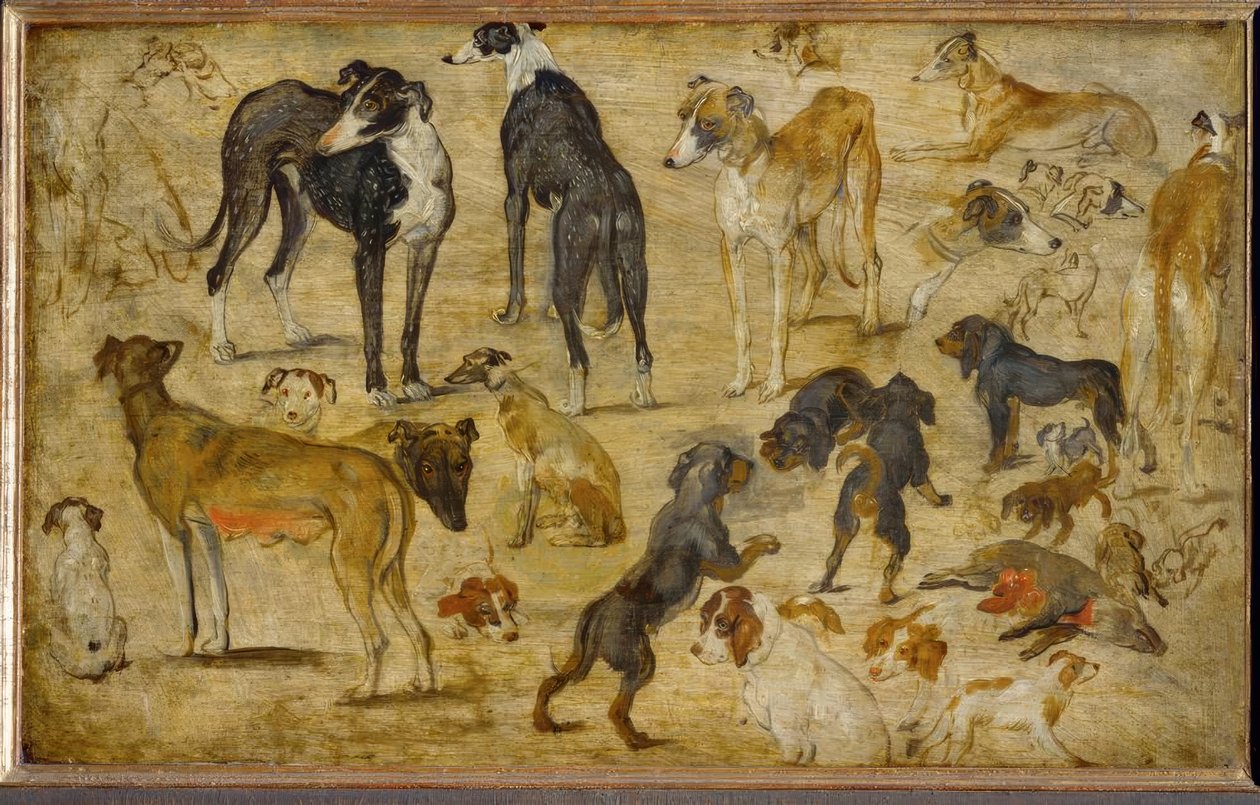 Tierstudien od Jan the Elder Brueghel