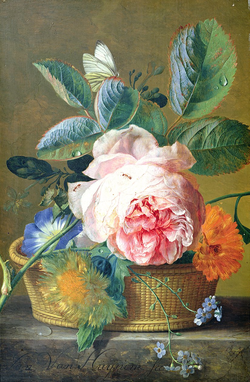 Košík s květinami, 1740-45 od Jan van Huysum