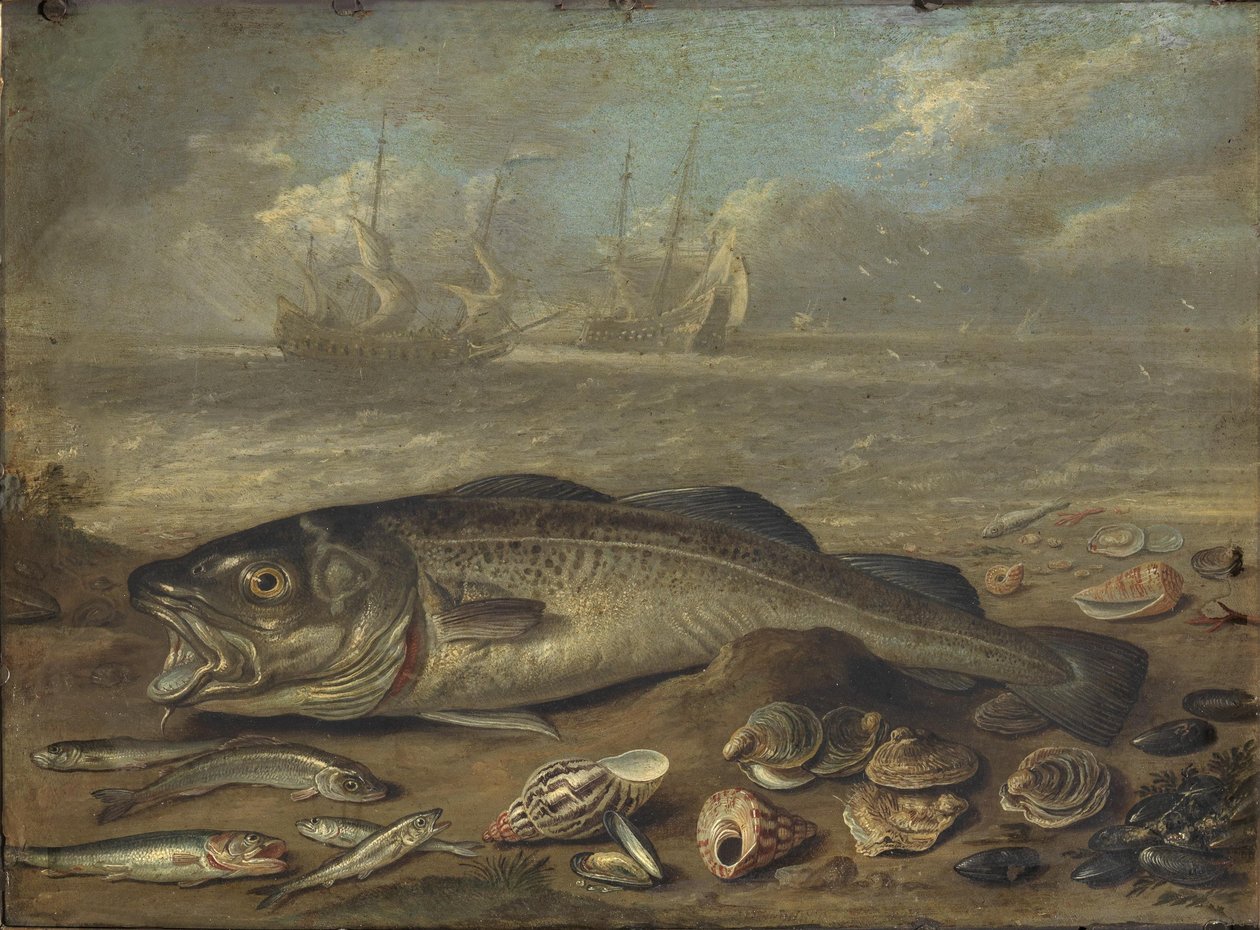 Ryby a mořská krajina od Jan van Kessel the Elder