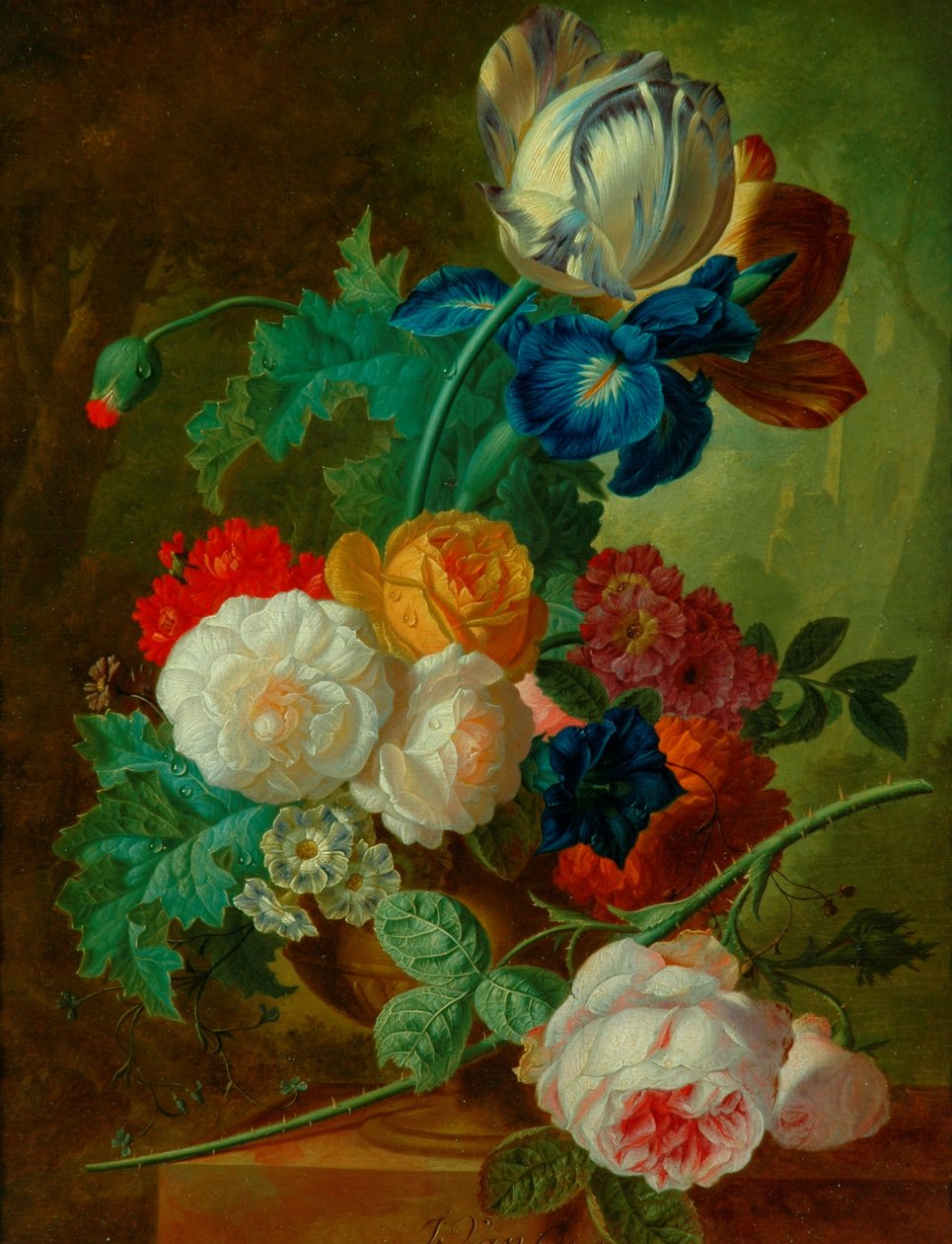 Květina (olej na dřevěné desce) od Jan van Os