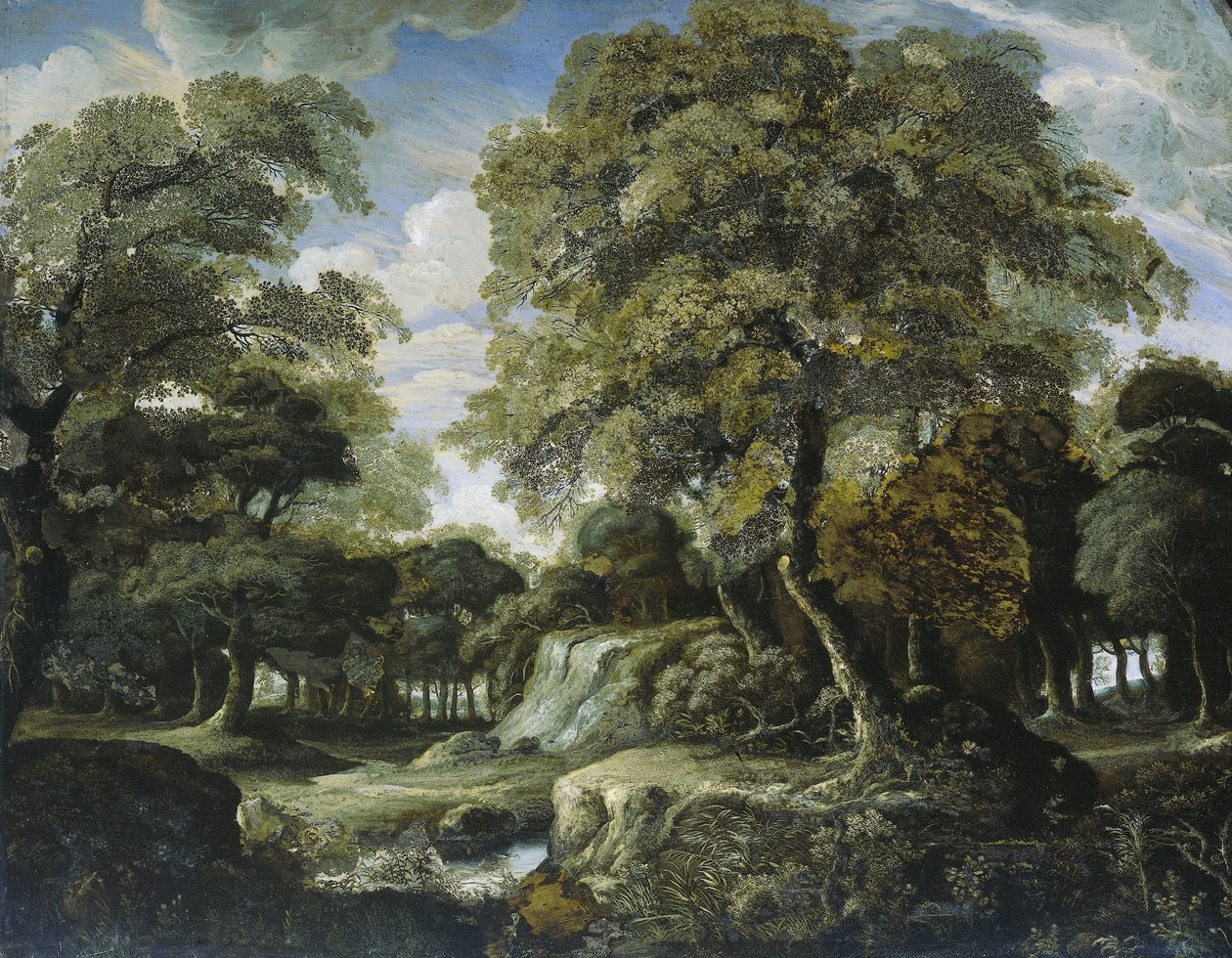 Pohled v lese od Jan van der Heyden