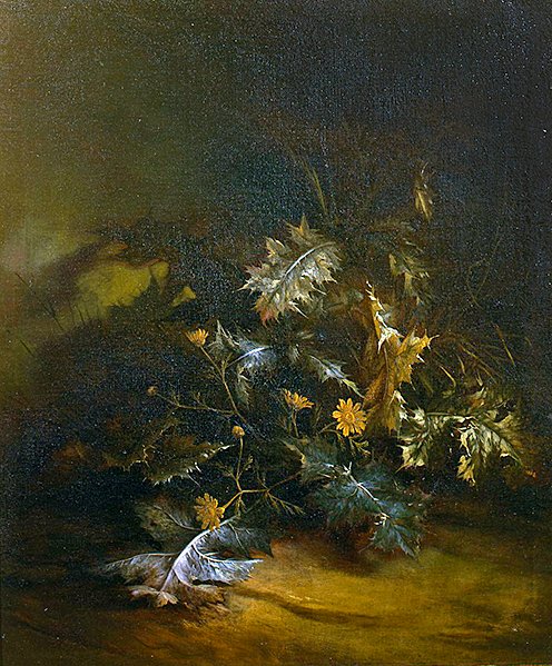 Bodláky (olej na plátně) od Jan van the Elder Kessel