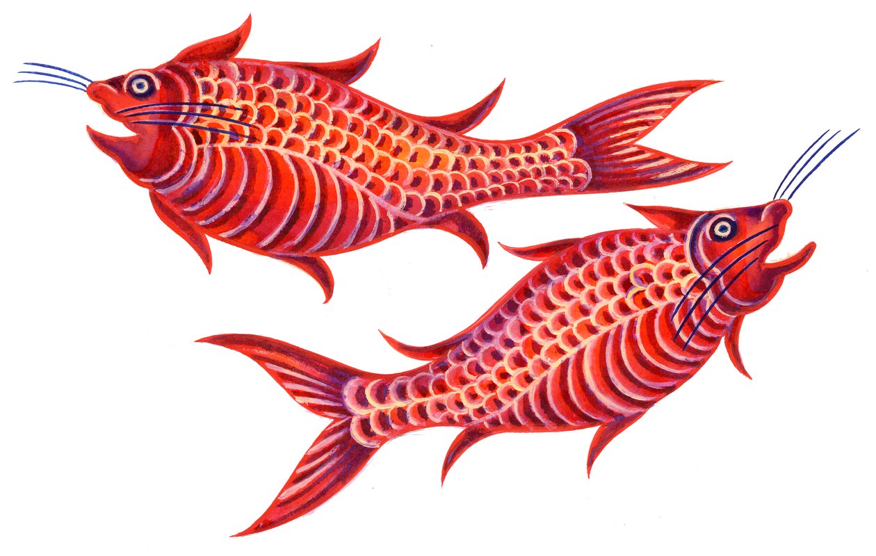 Fish Pisces, 1996, (inkoust a kvaš) od Jane Tattersfield