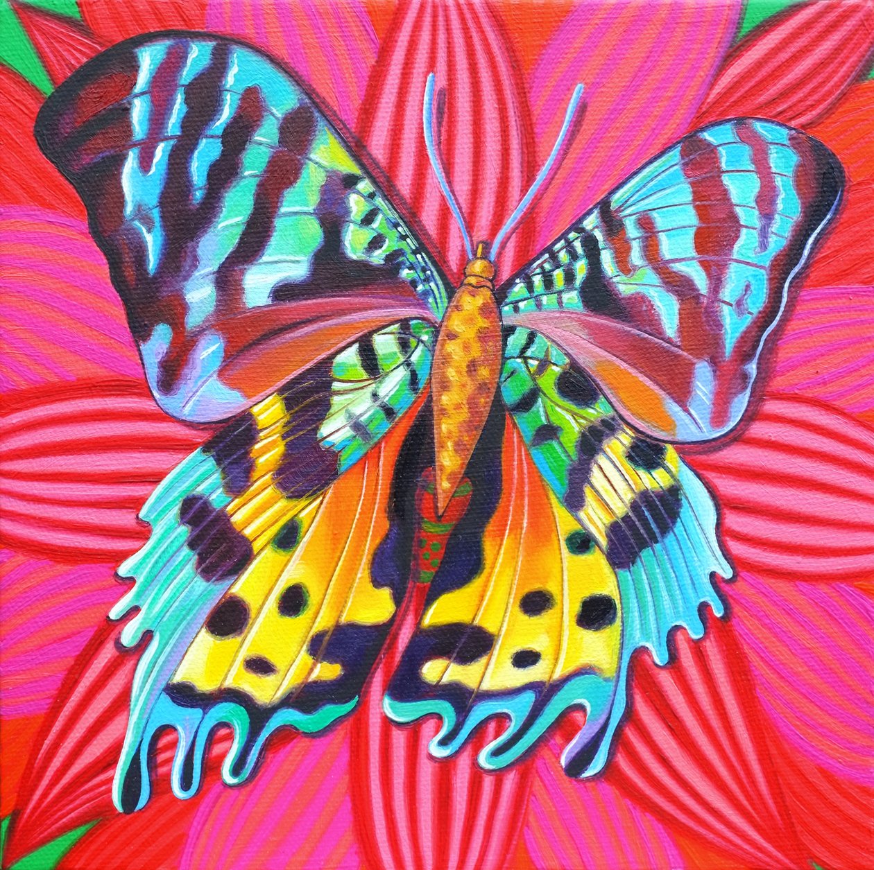 Sunset Moth, 2014, od Jane Tattersfield
