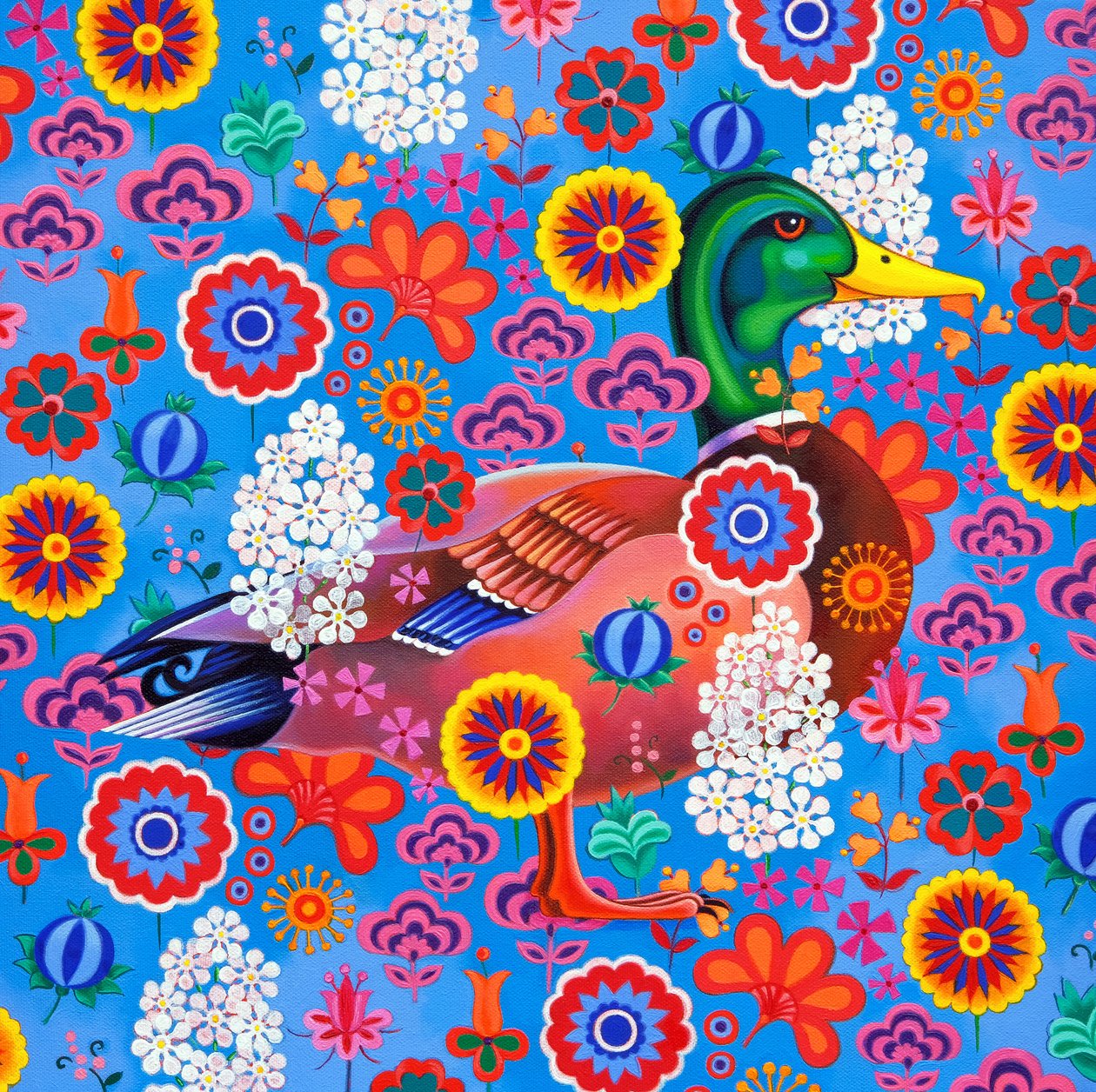 Kachna, 2022 od Jane Tattersfield