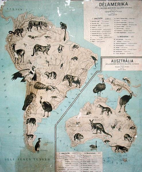Mapa zvířat v Jižní Americe a Austrálii od Janos Balint