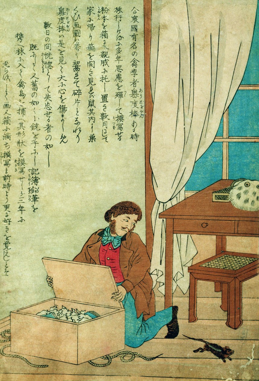 JJ Audubon (1785-1851) na cestě do Japonska objevil krysu, kolem roku 1840 od Japanese School