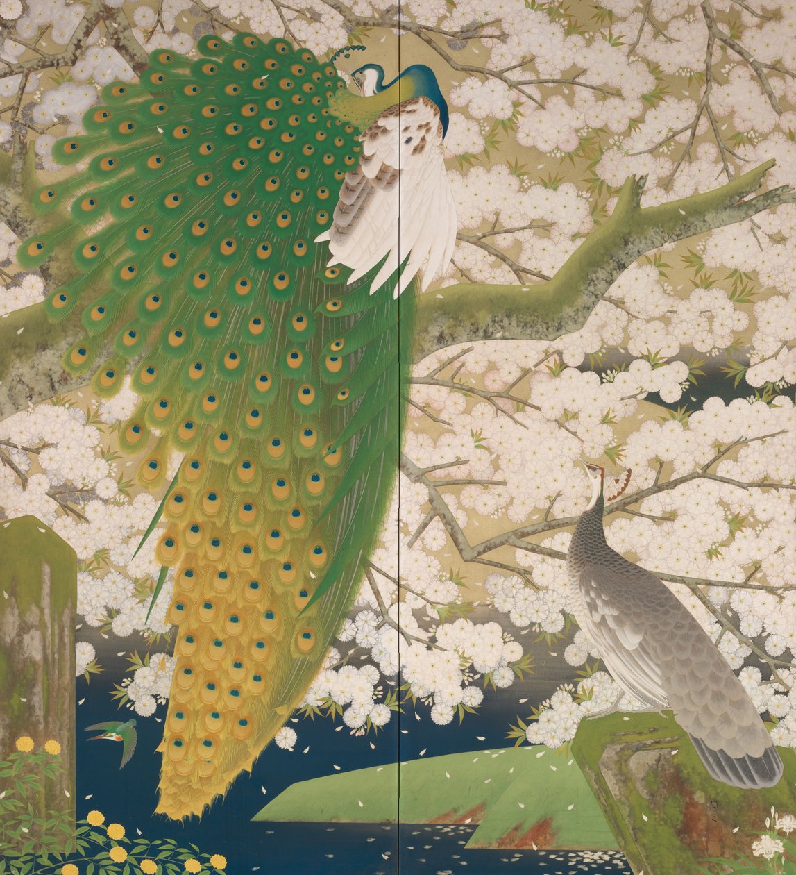 Peacocks and Cherry Tree, c.1925 (kov a barva na papíře) od Japanese School